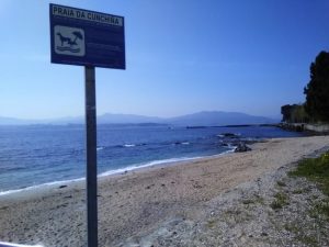 Playa para perros en Cangas do Morazo. Rías Baixas